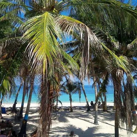Zippy'S Sea View Apartments San Andrés Exterior foto