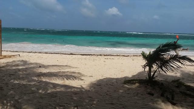 Zippy's Sea View Appartement *